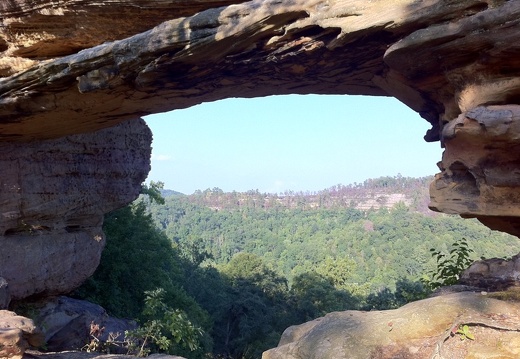 Auxier Ridge, a year after the fire